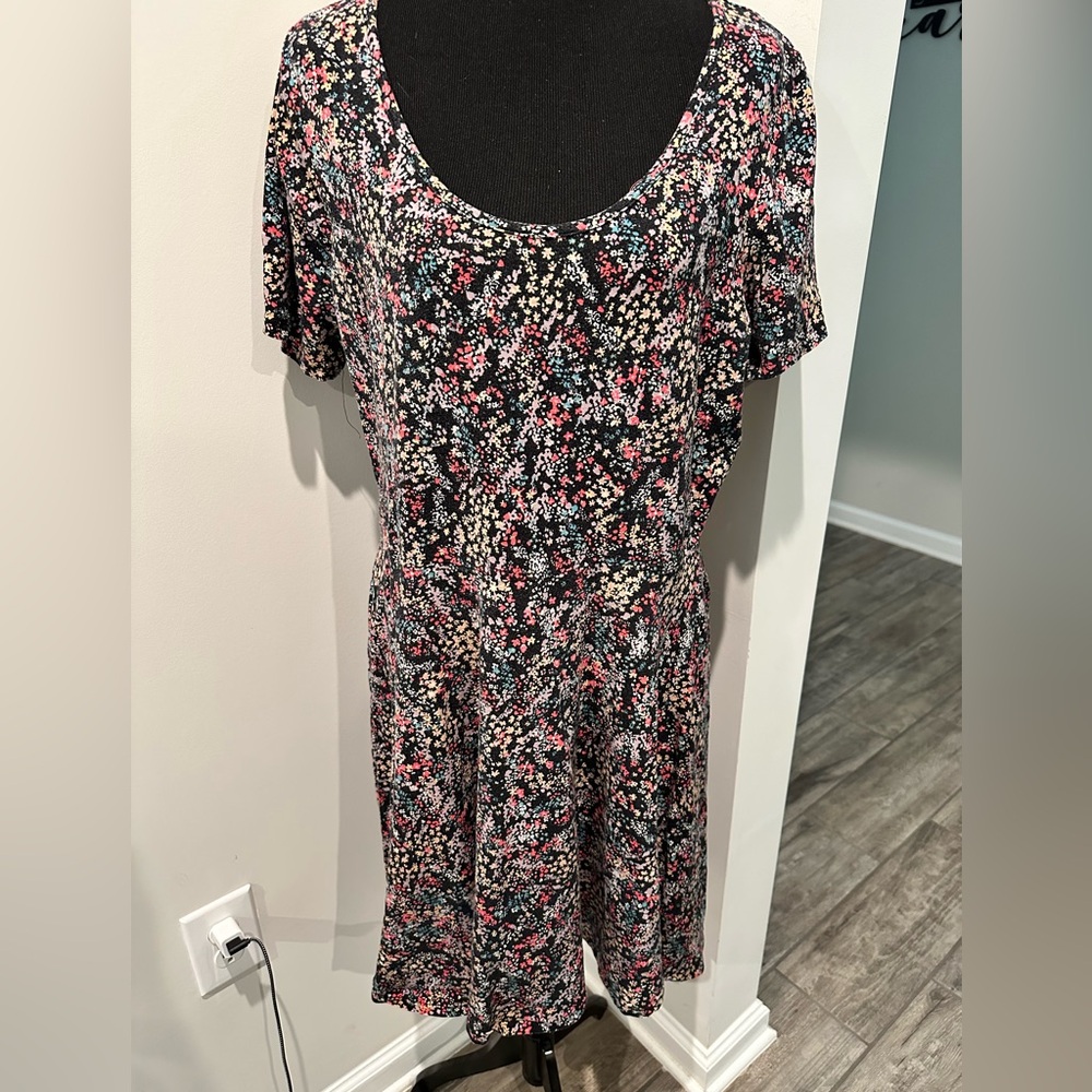 American Rag Dress